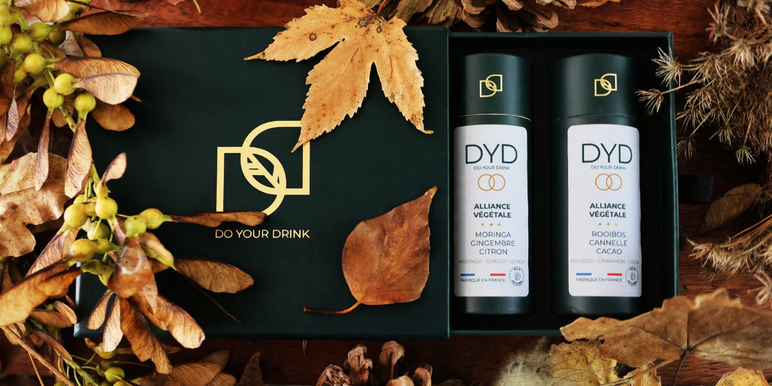 Bienvenue dans l'univers audacieux de la nouvelle collection DYD !