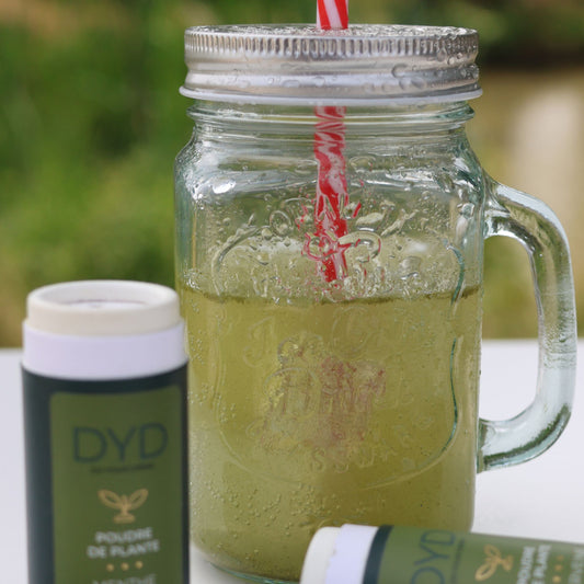 mojito verveine menthe